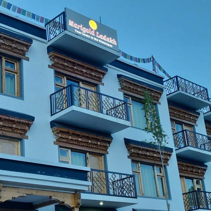 Marigold ladakh photo 2