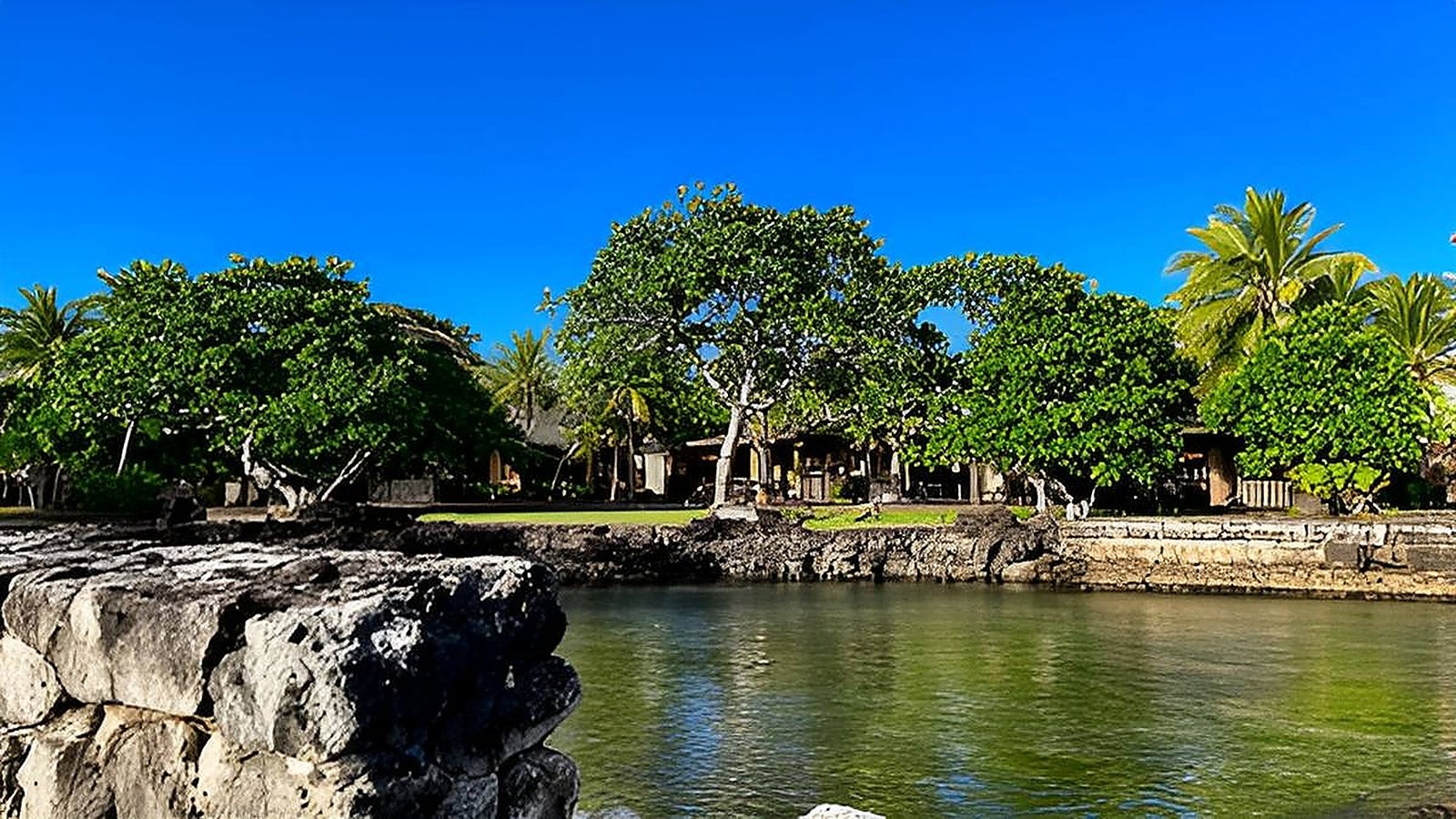 Castaway Island Holiday Packages | Experience Fijian Paradise