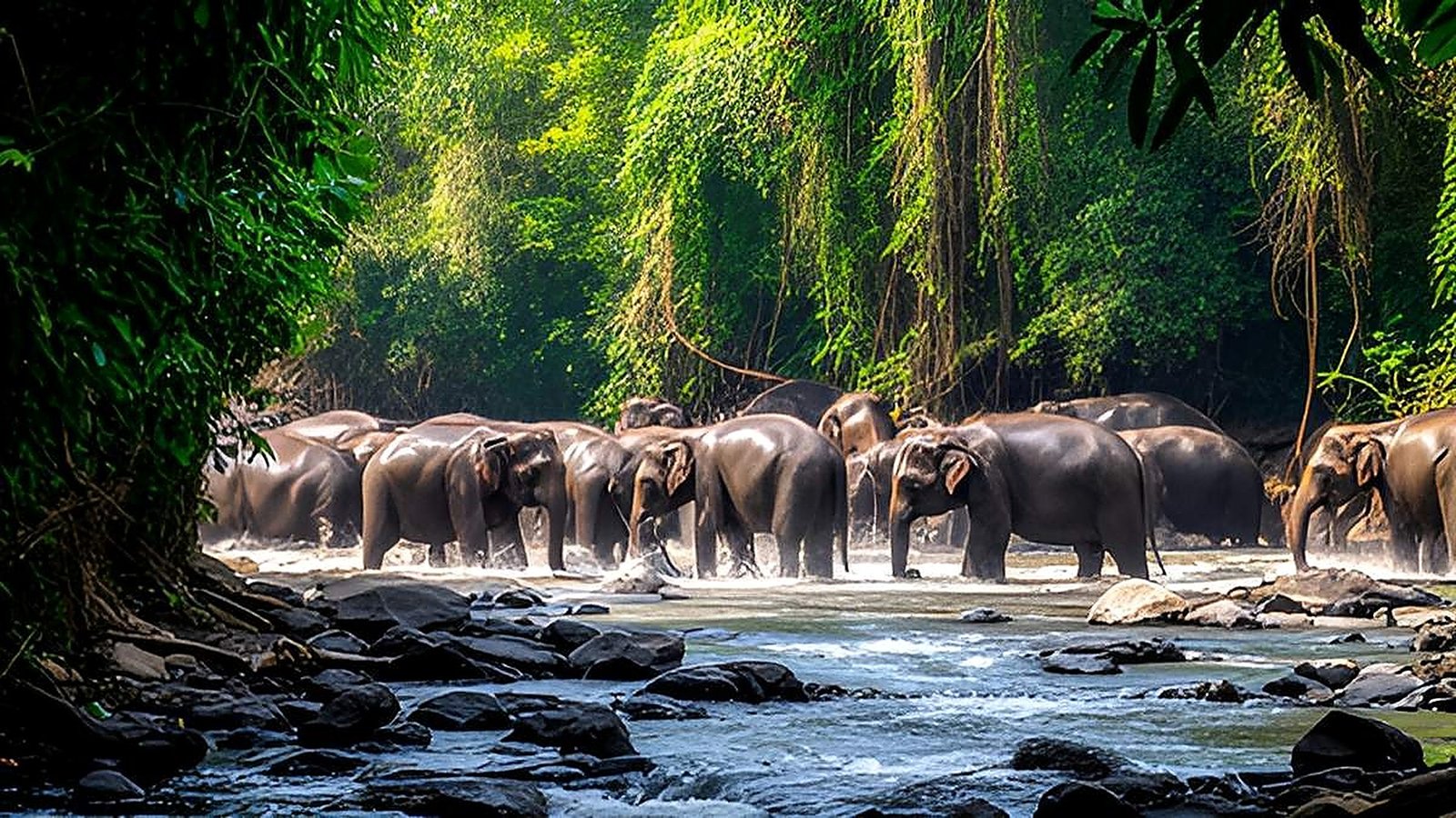 Exotic Sri Lanka 3 Nights/ 4 Days