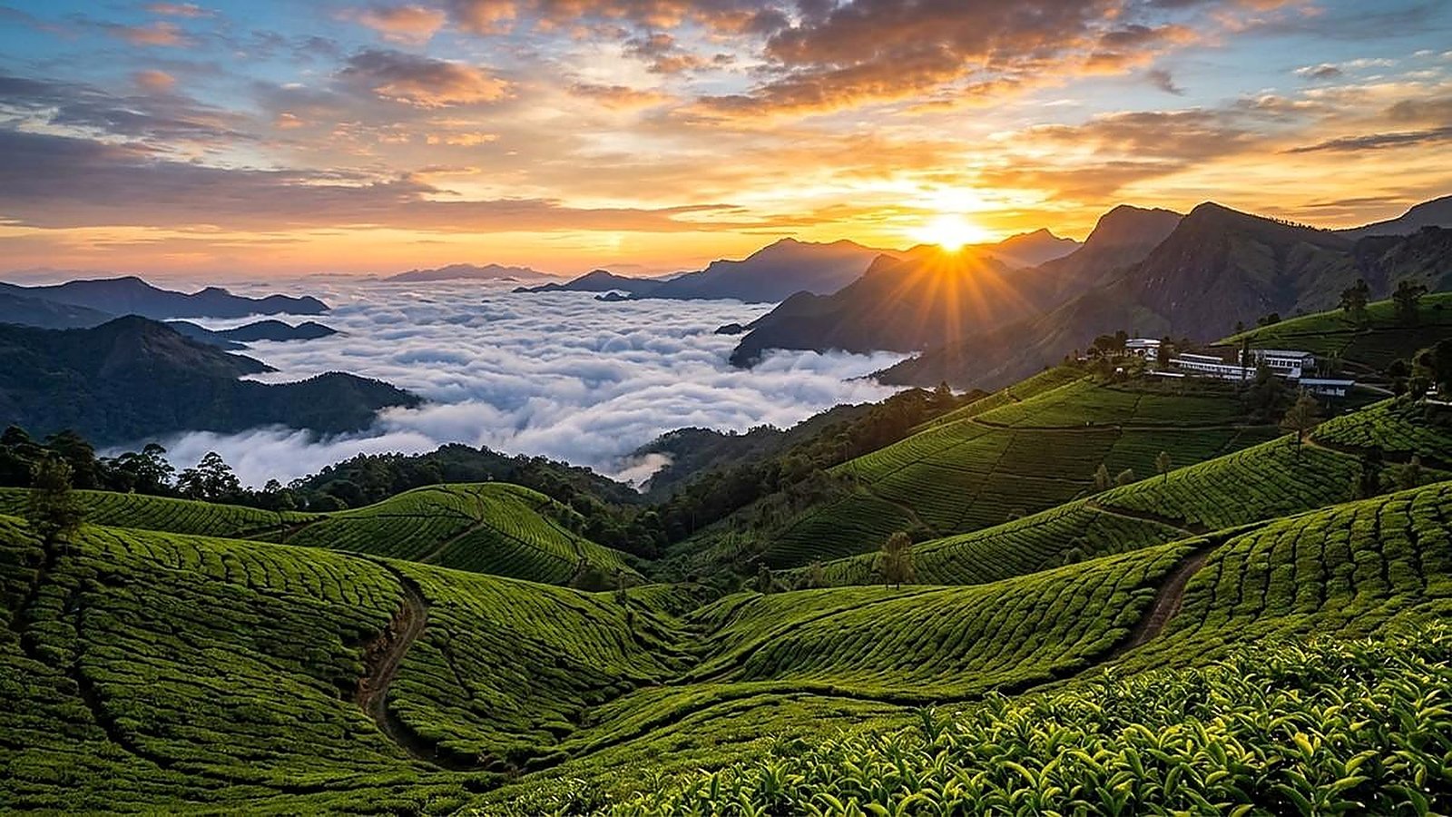 Grand Kerala Summer Vacation Package