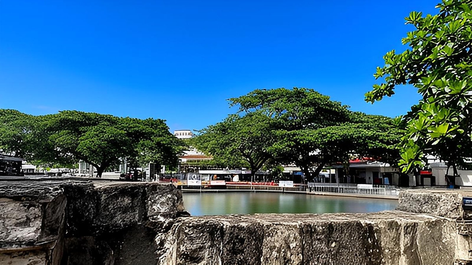 Mauritius Island Group Departure