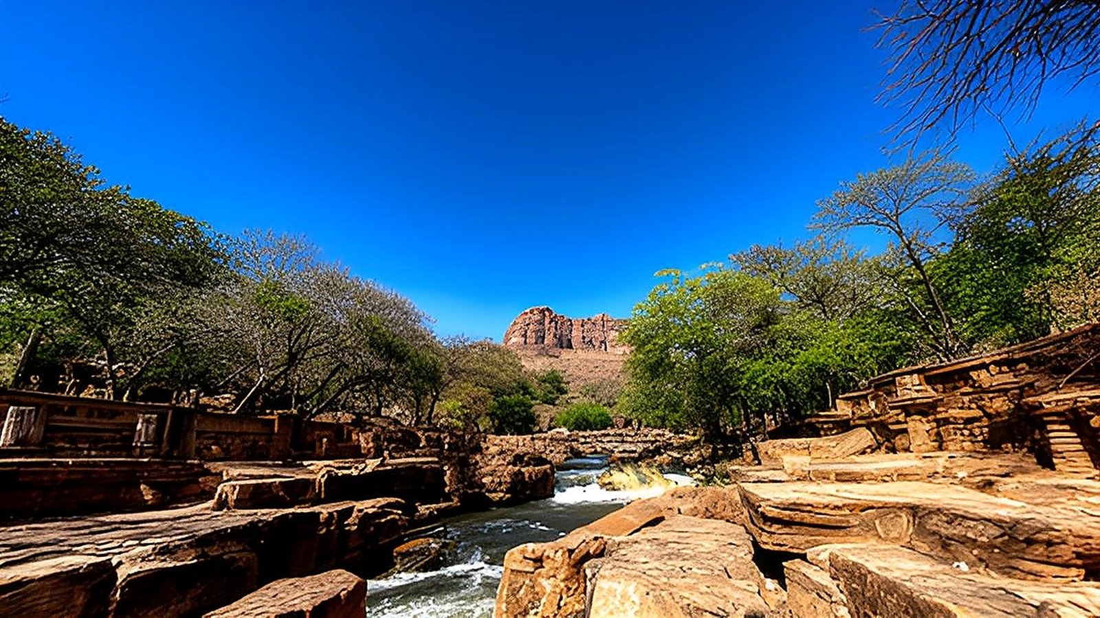 Wildlife Delight: 3-Day Kruger Tour Adventure